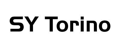 SY Torino