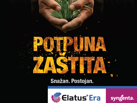 slogan elatus era