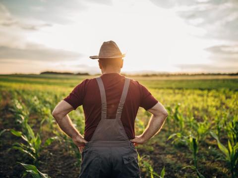 farmer_u_polju