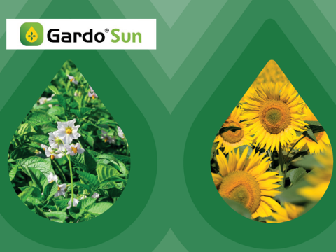 Gardo Sun jedinstveno i precizno protiv korova