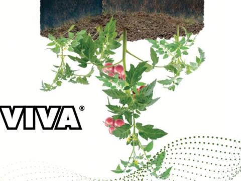 Fertirigacija i primjena biostimulatora VIVA u voćarstvu i povrćarstvu_2