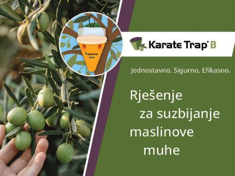 Ekološki prihvatljivo rješenje za maslinovu muhu