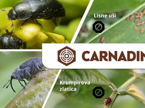 Carnadine_insekticid od povjerenja