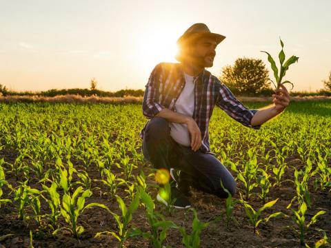Syngentina napredna rješenja tretmana sjemena