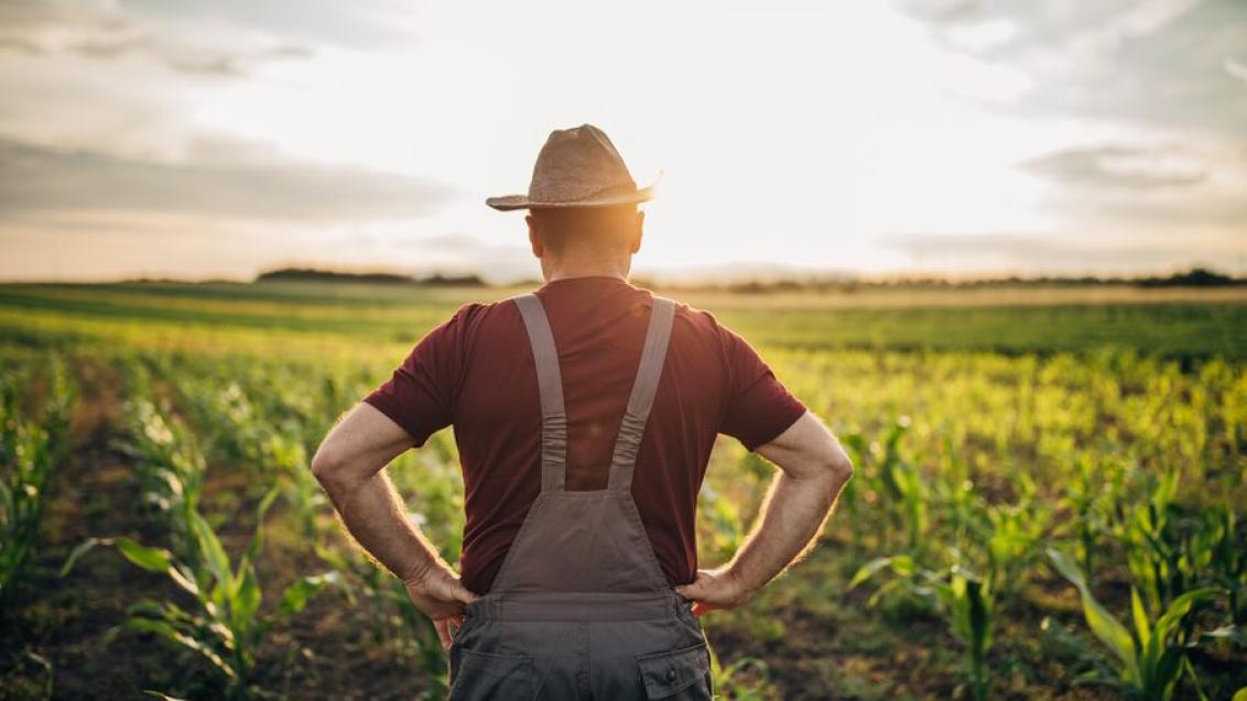 farmer_u_polju