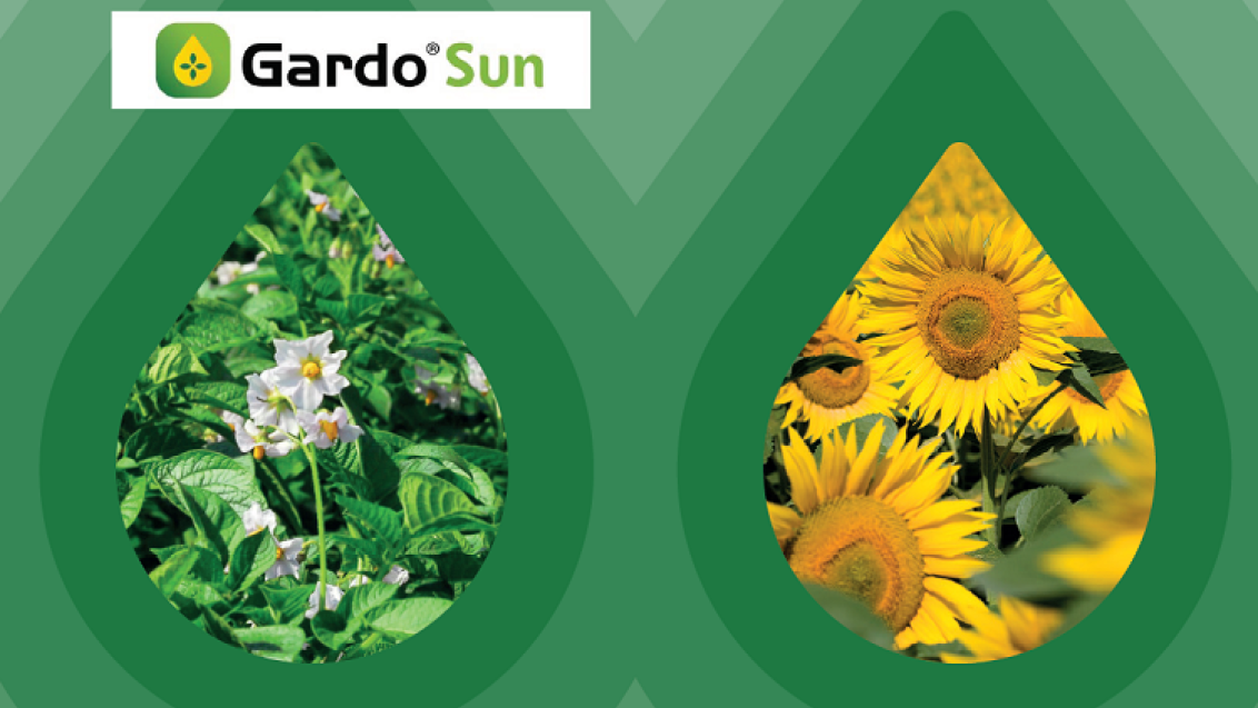 Gardo Sun jedinstveno i precizno protiv korova