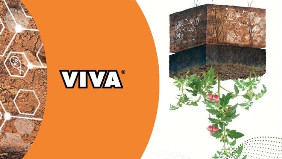 Fertirigacija i primjena biostimulatora Viva u voćarstvu i povrćarstvu