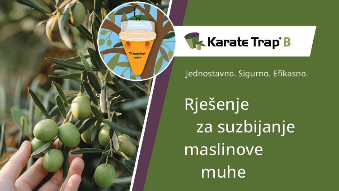 Ekološki prihvatljivo rješenje za maslinovu muhu