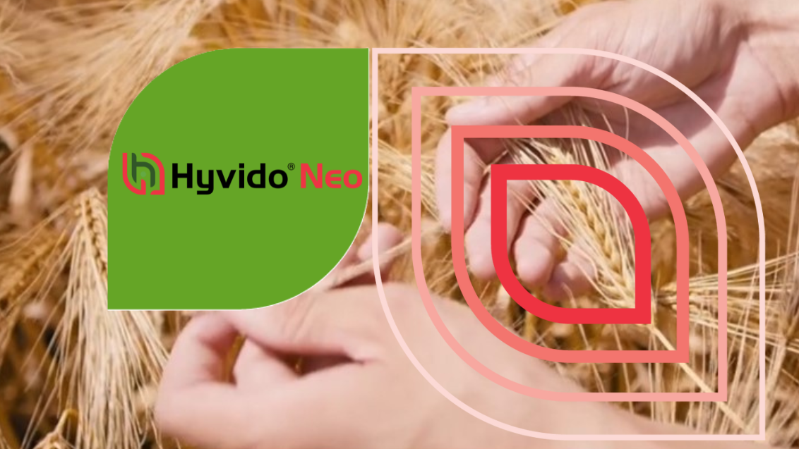 Hyvido Neo hibridni ječam