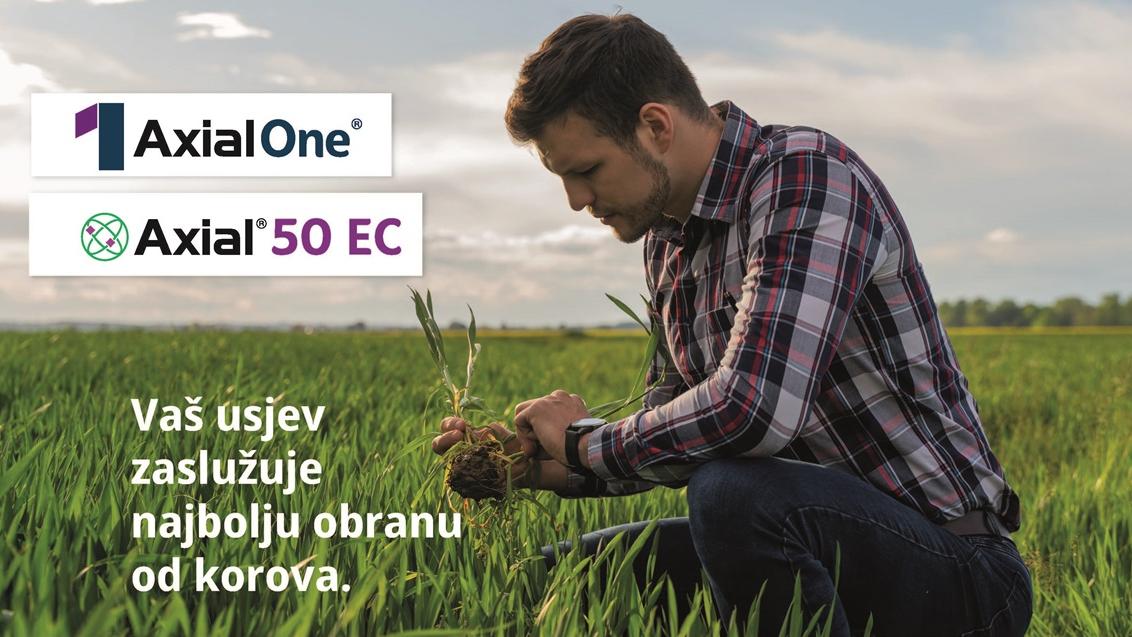 Preporuke za proljetnu zaštitu žitarica od korova