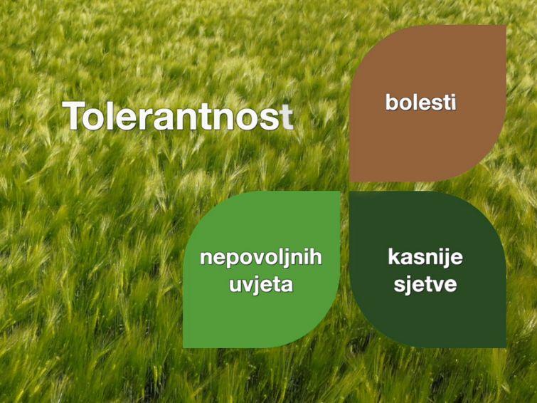 Hyvido tolerantnost na bolesti i nepovoljne uvjete
