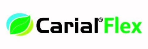 carial flex baner