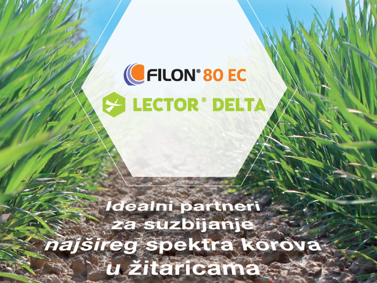 Filon i Lector Delta idealni partneri
