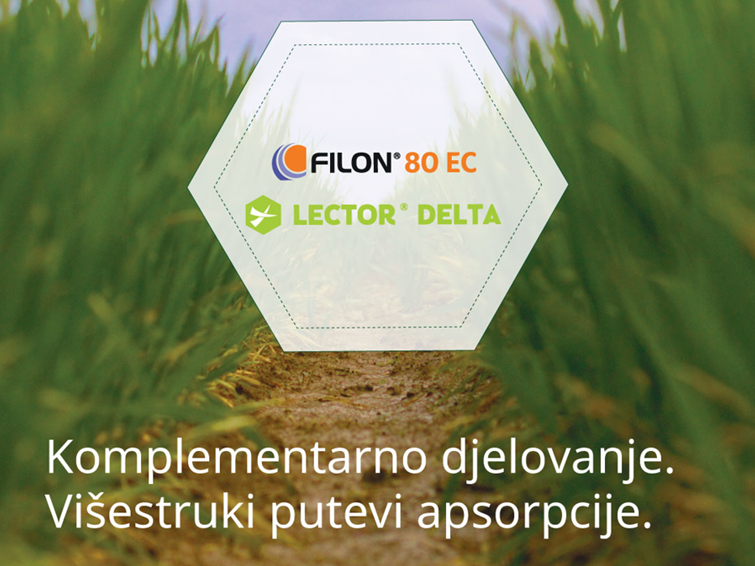 Filon i Lector Delta idealni partneri