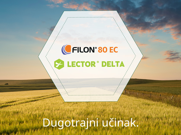 Filon i Lector Delta idealni partneri