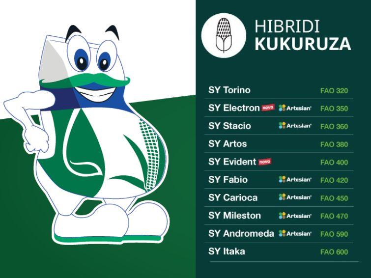Syngenta hibridi kukuruza, snaga genetike koja oplemenjuje svako polje