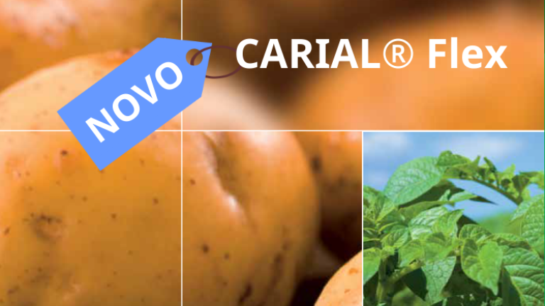 Carial flex novi fungicid za zaštitu od plamenjače krumpira