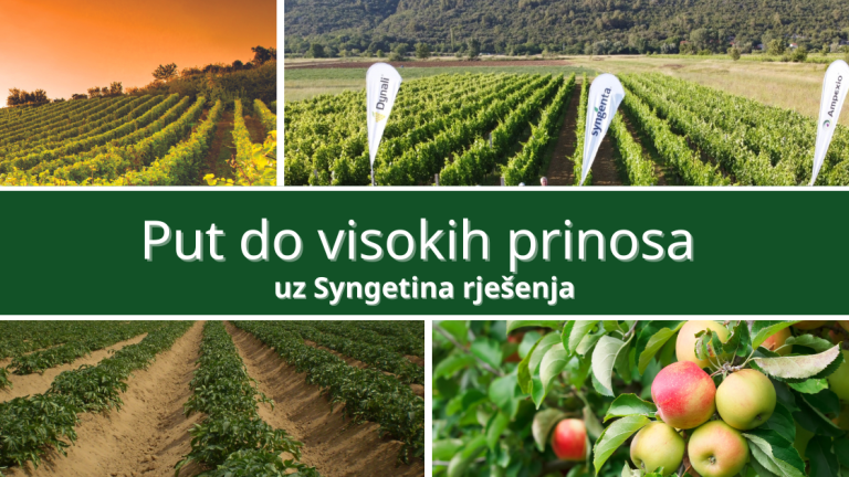 put do visokih prinosa uz Syngentina rješenja za zaštitu