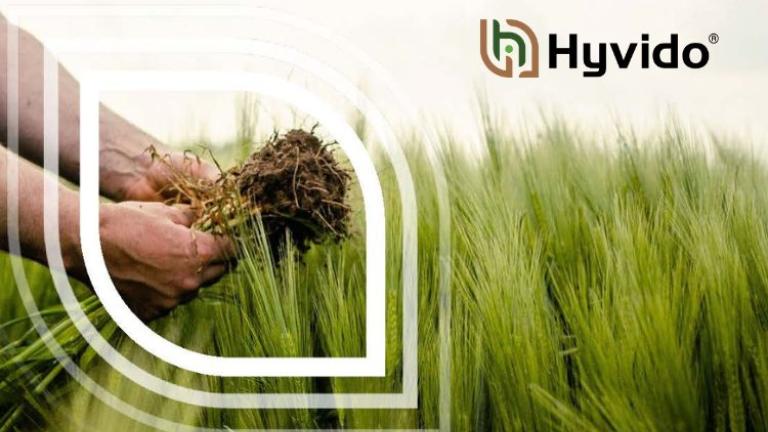 Hyvido_puno vise od samog prinosa