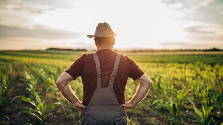 farmer_u_polju
