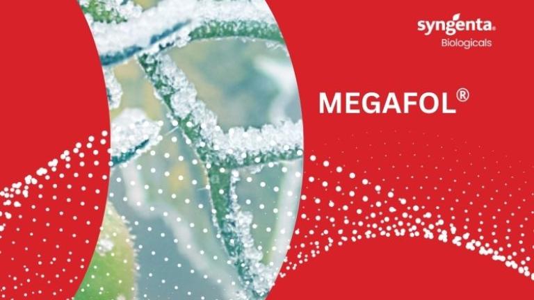 Megafol