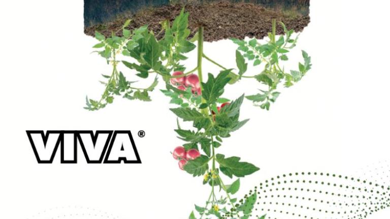 Fertirigacija i primjena biostimulatora VIVA u voćarstvu i povrćarstvu_2