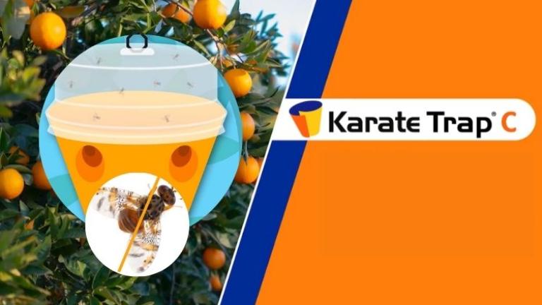 Karate trap C lovka