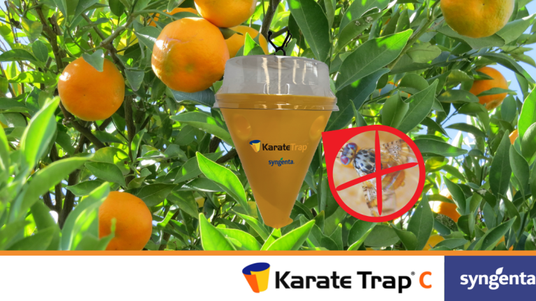 Karate trap C lovka