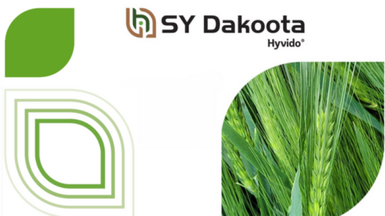 SY Dakoota