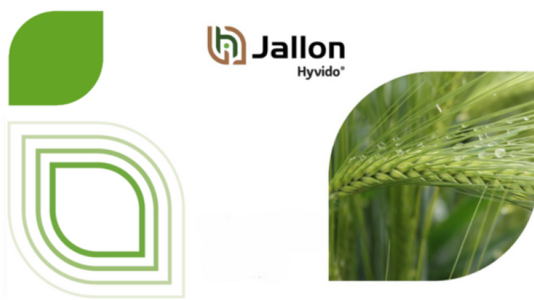 Jallon Hyvido hibridni ječam