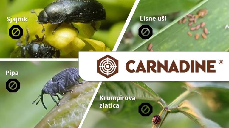 Carnadine_insekticid od povjerenja