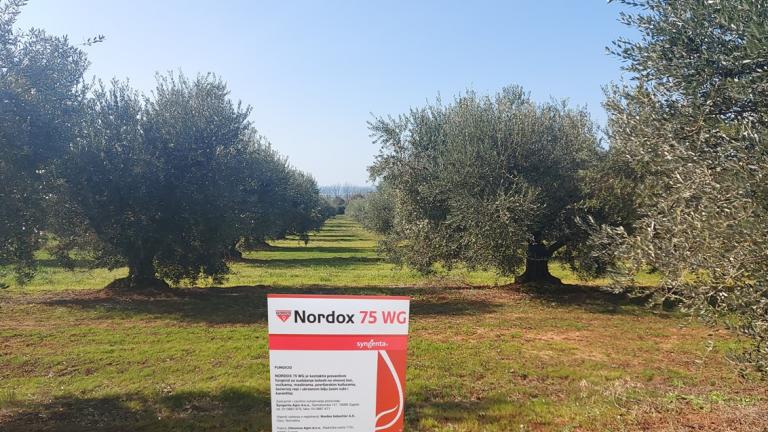 Bakreni pripravak NORDOX 75 WG