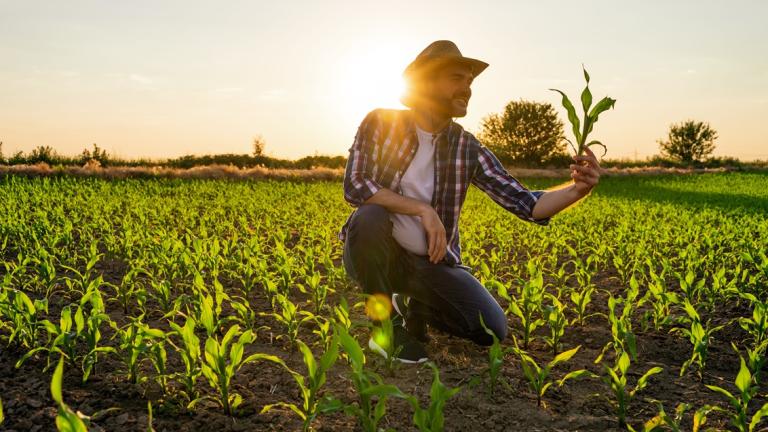 Syngentina napredna rješenja tretmana sjemena