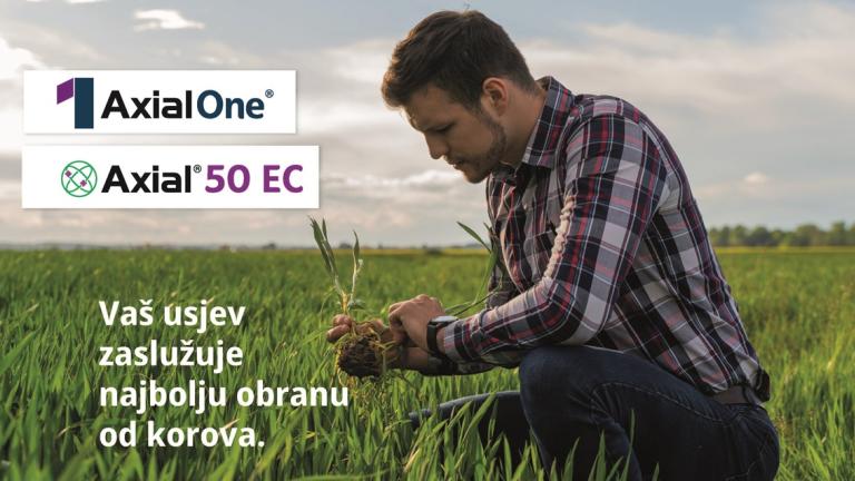 Preporuke za proljetnu zaštitu žitarica od korova