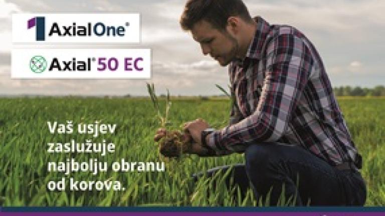 Preporuke za proljetnu zaštitu žitarica od korova