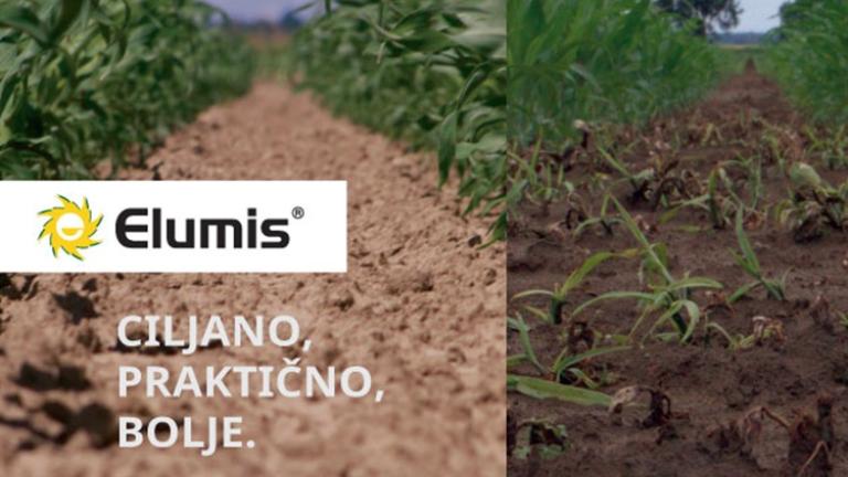 Suzbijanje najšireg spektra korova u kukuruzu sa Elumis herbicidom