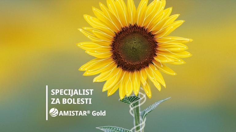 AMISTAR Gold snažna zaštita uljarica od bolesti
