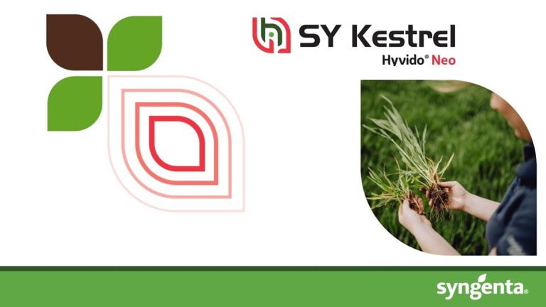 Baner SY Kestrel Hyvido Neo hibrid ječma