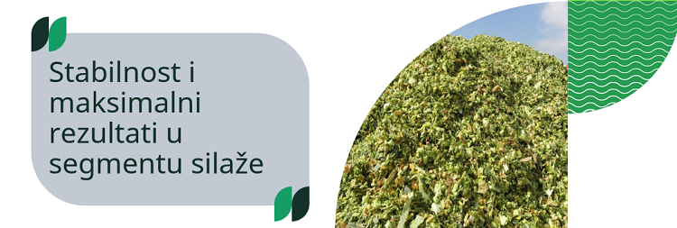 Syngenta silažni hibridi_stabilnost_maksimalni rezultati