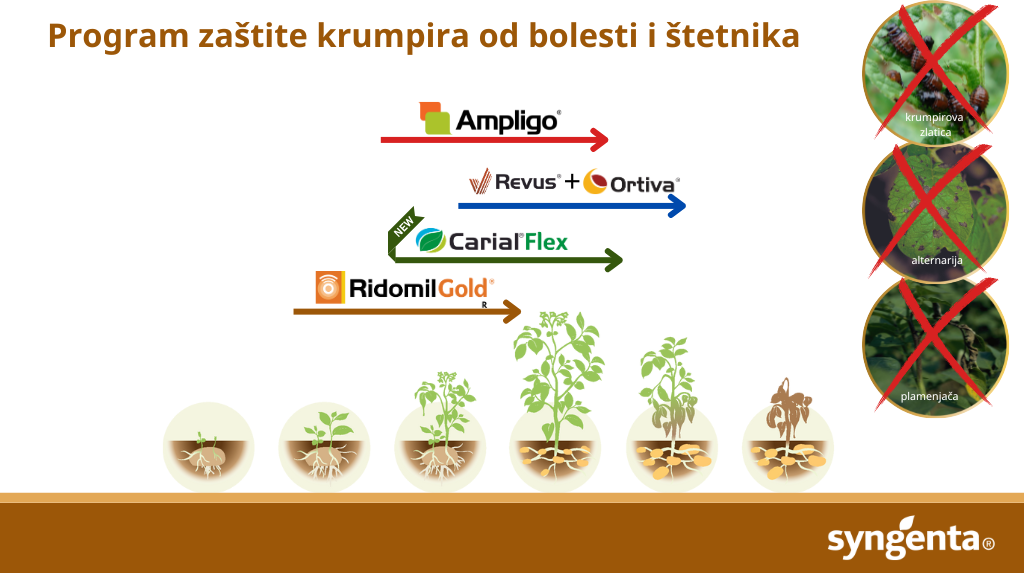 program zaštite krumpira