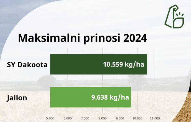 najviši prinos hibrida hyvido 2024