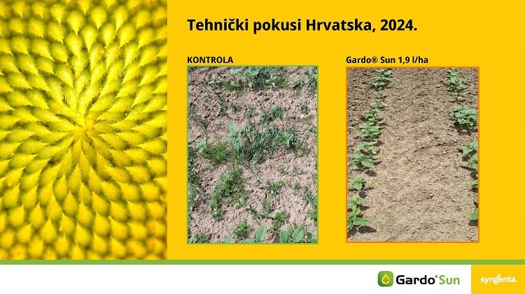 Djelovanje herbicida Gardo Sun, tehnički pokusi 2024