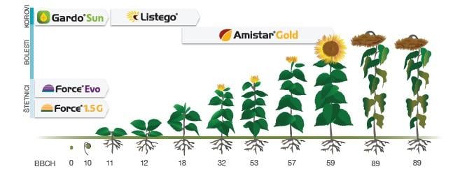 Syngenta program zaštite suncokreta_2025 