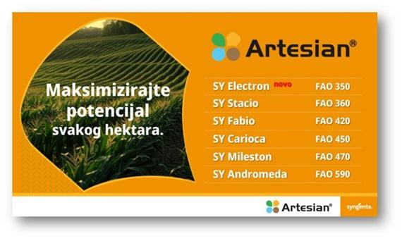 Artesian hibridi kukuruza