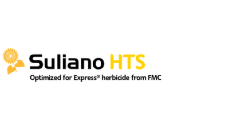 Suliano HTS